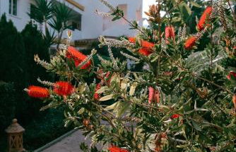 Casa Jilou - Foto 30