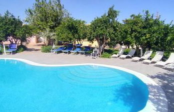 aranceto dell'Etna - Foto 23