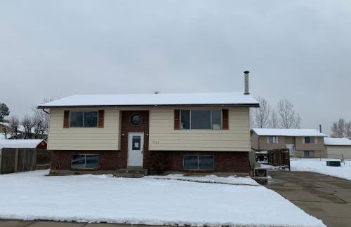 Ray's Place - Photo 16