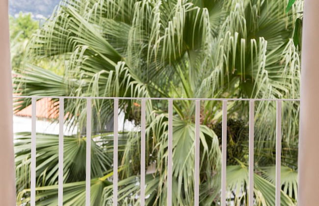 Renovated Apt.Walk to Marley Museum - Foto 22