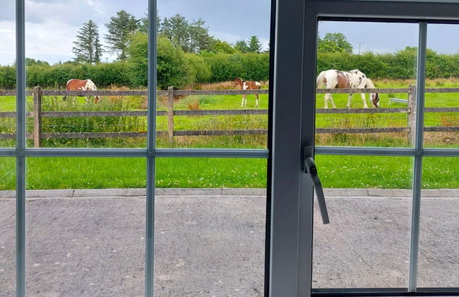 Farm View Cottage Castlerea - Photo 17