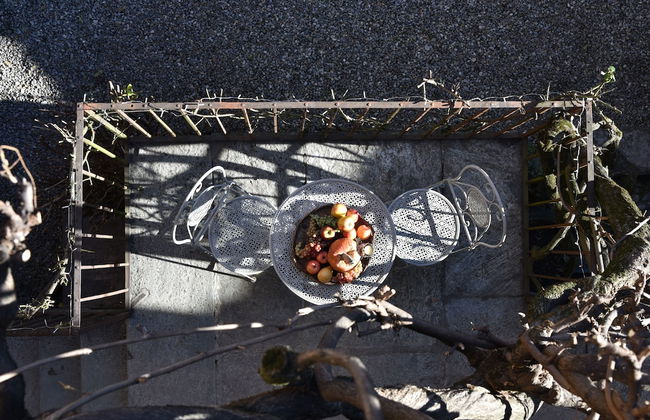 Roseto del Drago - Foto 12