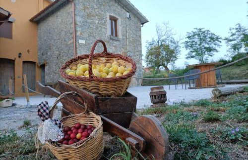 LES ROVILES - Foto 1