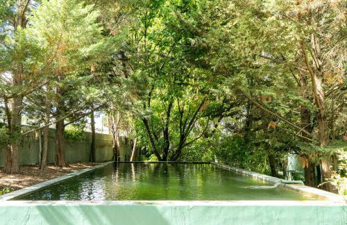 NEW! Quinta de Zanão House - Foto 46