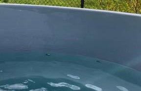 Dudkowe Domki w Beskidach- Relaks z Balią i Apiterapią - Foto 22