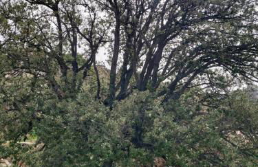 La Dimora degli Dei - Foto 49