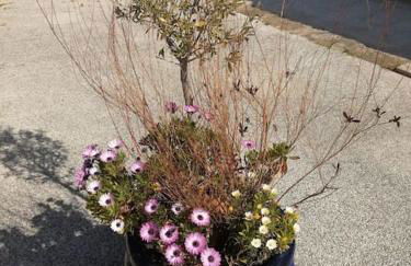 Le soleil d Eugènie appartement dans résidence avec Piscine commune près de Carcassonne - Foto 50