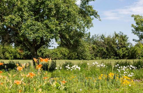 Chateau De Grazay - Foto 15