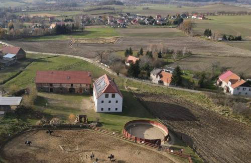 WYSPA KONI - urocze gospodarstwo agroturystyczne - Foto 15