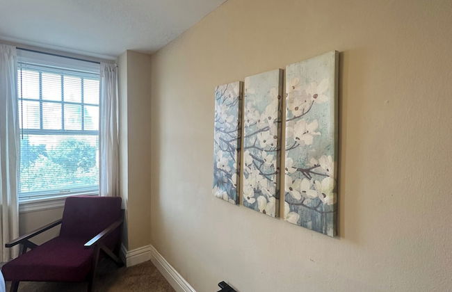 3BR near BJ Hospital Forest Park STLZoo - Photo 12