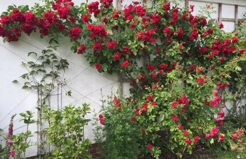 Ferienhaus Scholien - Foto 37