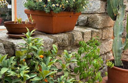 Casa Fiorella - Vista Mare - Foto 23