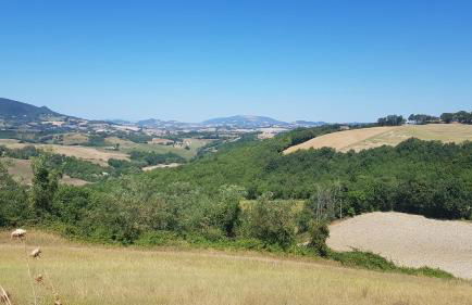 VILLA DUE TIGLI - Foto 35