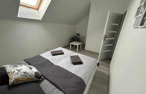 Koniec Świata Stare Sady - Foto 48