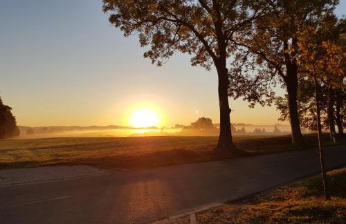 Ferienwohnung Granitzblick 3 mit Wintergarten und Seeblick - Foto 68
