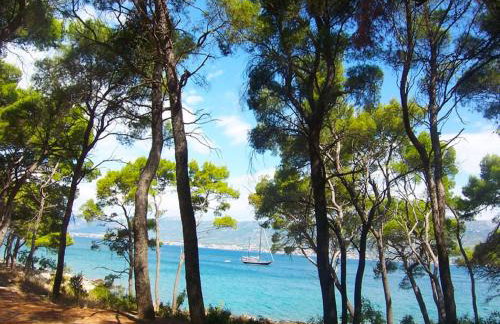 Apartment Onyx - Photo 38