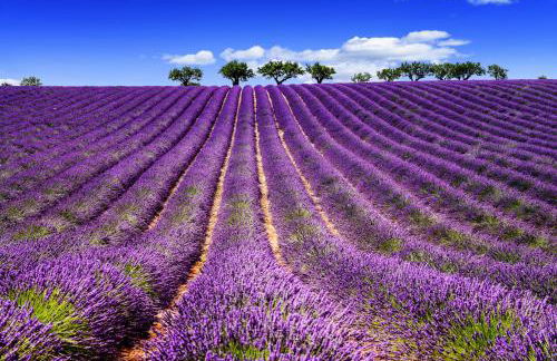 GITE AU COEUR DES GORGES DU VERDON - Foto 2