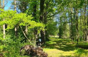 Vierseitenhof Appartements - Foto 39