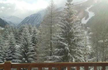 Joie de Vivre - Gressoney St. Jean - Foto 10