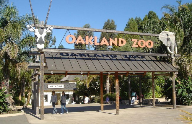 Dimond Abode Vacation Rental 3428 - Foto 60