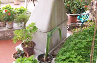 Captain's villa - Photo 15