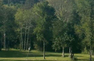 Luxury Mtn Log Home- Sevier Lodge at May Ridge - Foto 40