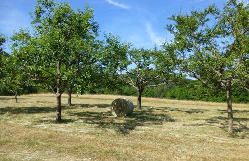 Feriengaleriewohnung Im Denkmal Stilvoll-Komfortabel Baubiologisch - Foto 13