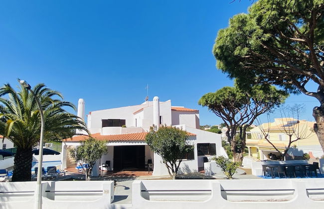 Azinheira CIP - Photo 51