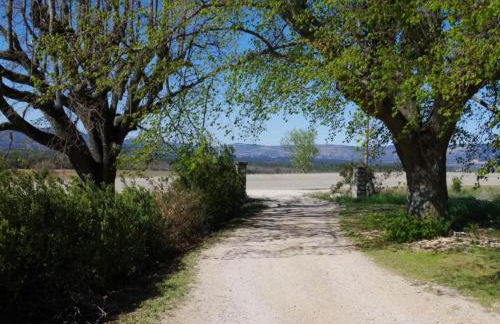 Nature & Adventure Highlights - Foto 34