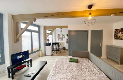 015 CHIC & COSY STUDIO 41m2 HYPERCENTRE WIFI SMART TV NETFLIX - Foto 21