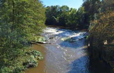 La maison du Donjon - Foto 31