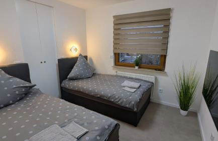 Modernes 3-Zimmer Apartment in Eppingen mit Balkon - Photo 4