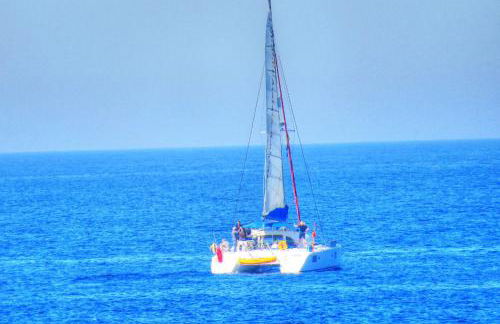 Rosa Nautica 3 - Photo 28