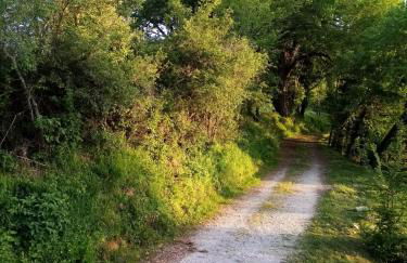 Le Nid d'été - Foto 4