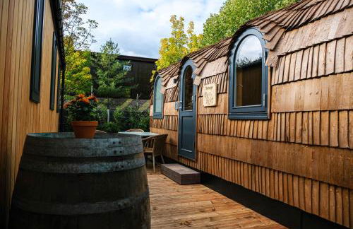 Tortuga - einfach anders! - Foto 10