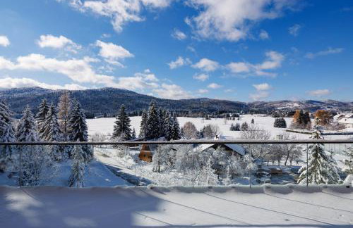 Villa Stella Verde - Wellness Villa with a swimming pool, hot tub and sauna - Foto 8