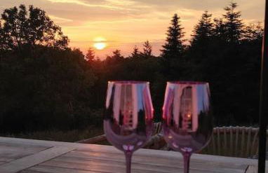 Mosel Urlaub Stabenhof - Whirlpool, Natur und Grill - Foto 6