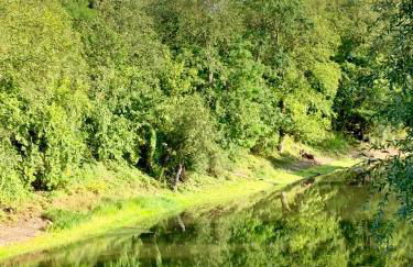 Viadrina Rooms & Apartments Frankfurt-Oder am Park im Zentrum - Foto 14