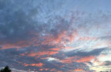 Contemporary detached house short train to London - Photo 13