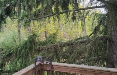 Black Top Retreat - Photo 30