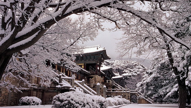 Histoire coréenne et patrimoine mondial de l'UNESCO - Visite privée - Photo 5