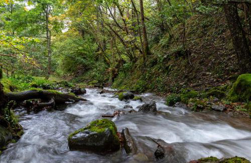 Le Pradima - Photo 18