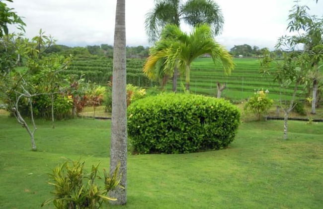 Bali Japan Village - Foto 22