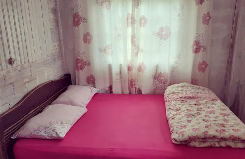 Cantinho do Sossego - Photo 15