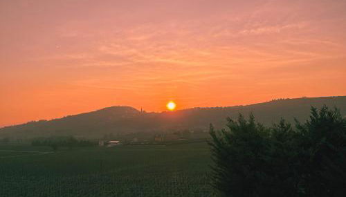 Bio Agriturismo Falezze - Foto 2