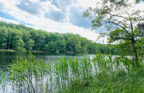Klein aber fein in der Altstadt - Photo 15