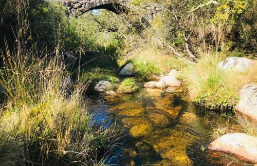 Janelas da Cabreira - Foto 45