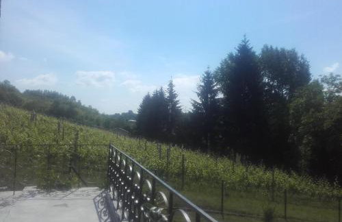 Dom w Zielonej Dolinie - Foto 6