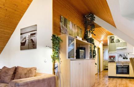 Ferienwohnungen Seeblick - Foto 42