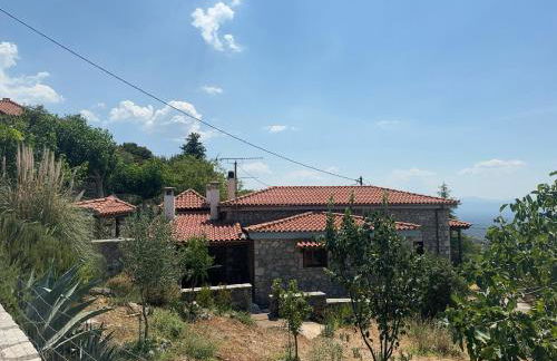 Terra Petra Villa at Psari Trikolonon Gortynia - Photo 55